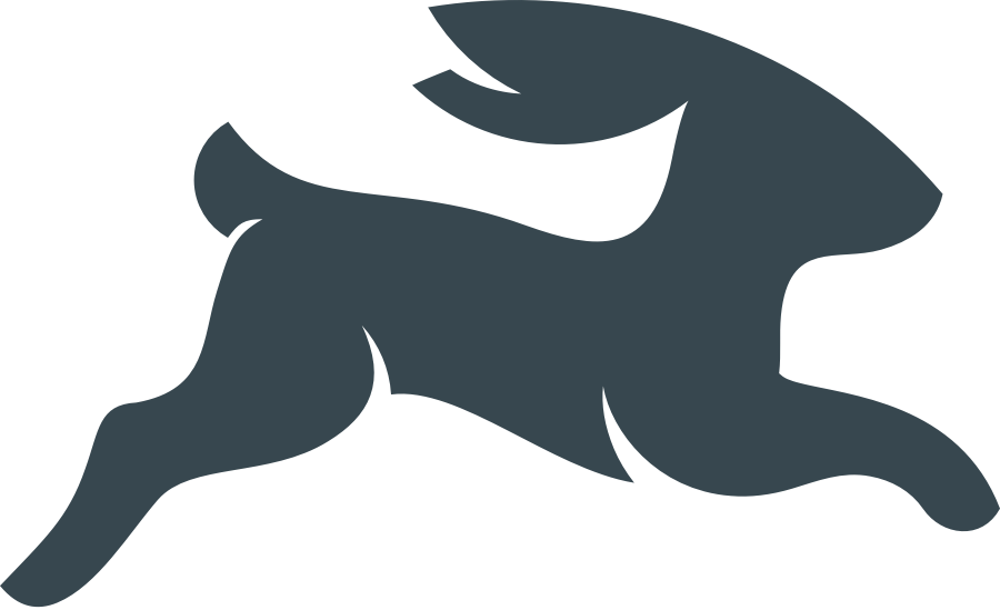 directus logo